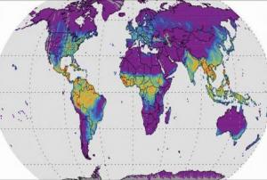 Solar-induced Fluorescence Map. Image: NASA