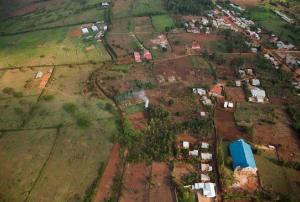 Rice paddies in Rwanda. Image: A'Melody Lee / World Bank.