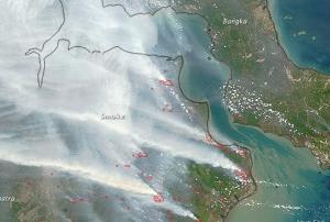 Recently, fire hot spots decreased in consequence of heavy rainfalls (Image: NASA).