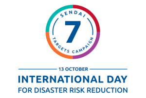 IDDRR Logo