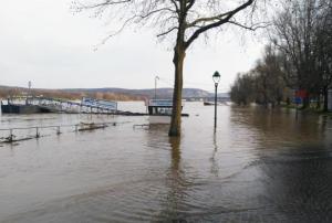 The rising waters of the Rhine river in Bonn. Image: UN-SPIDER.