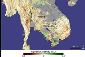 Image courtesy of NASA, created by Jesse Allen, Earth Observatory, using data provided by the joint Global Agricultural Monitoring Project between NASA, USDA's Foreign Agricultural Service (FAS), and the University of Maryland