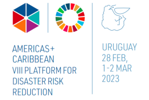 UNDRR Regional Platform Americas