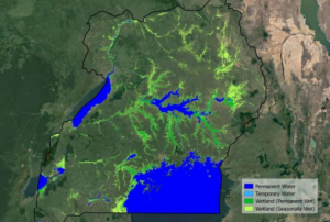 Wetlands of Uganda from Copernicus Sentinel data. Image: ESA