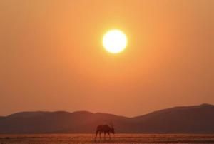 Photo by Tim Gray, The Sossusvlei area of Namibia, WMO 2023 calendar competition