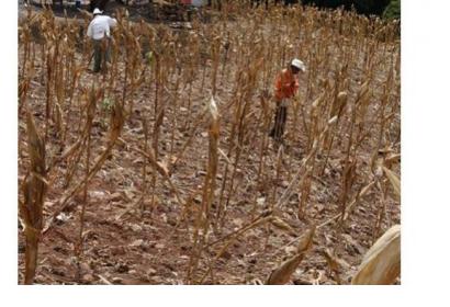 Droughts affecting Latin America