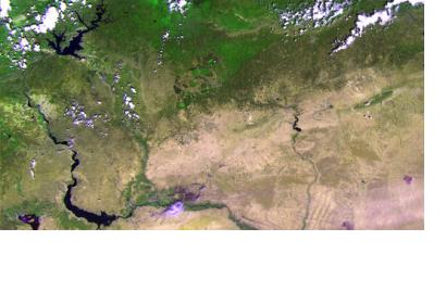 Satellites, such as ESA's Proba-V, can monitor vegetation intactness from space.