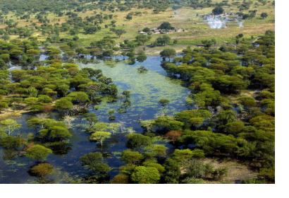 Flood-affected village in Upper Nile State, Southern Sudan, in 2007.