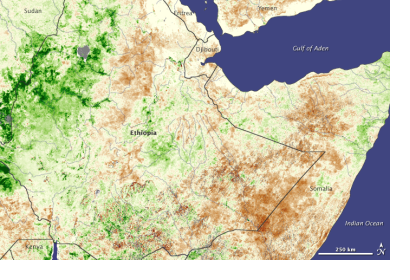 Drought in Ethiopia in 2008, seen from Space by SPOT Vegetation satellite