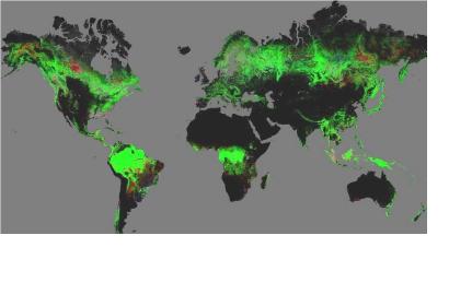 First map of forest change that is globally consistent and locally relevant