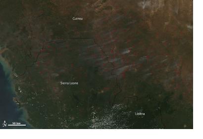 Fires in West Africa