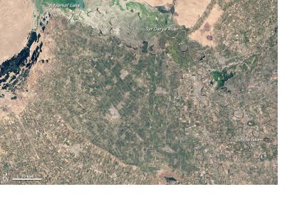 satellite image of Uzbekistan