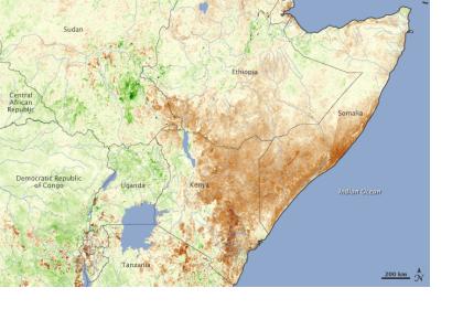 Vegetation map of Eastern Africa during the severe drought of 2011