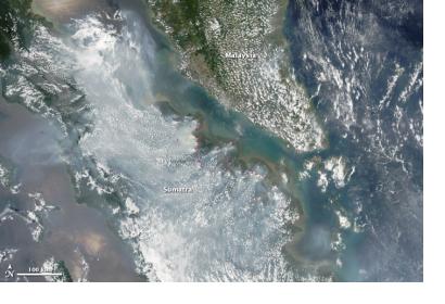 Fires in Sumatra, Indonesia in March 2014 seen from Space.