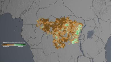 The studies analyzed the "greenness" of the Congo rainforest