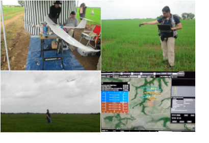 Estimation of the Normalized Differences Vegetation Index of a rice field