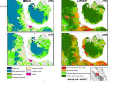 Different spatial resolution of MODIS compared to Landsat. 