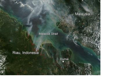 154  forest and land fires across Riau province on 20 July. 