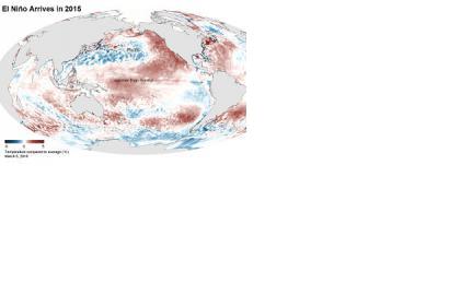 Average sea surface temperature due to El Niño 2015 (Image: NOAA)