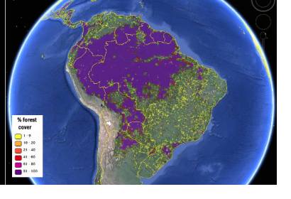 Forest cover in South America viewed on the Geo-Wiki platform (Image: IIASA/Geo-Wiki/Google Earth)