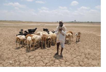 During drought even drinking water can become scarce in Maharashtra (Image: Hemant Mishra/Mint)