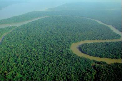 The Solimoes River, a branch of the Amazon River in northern Brazil, has caused major floods in the Amazonas state (Image: Catedral Verde - Floresta Amazonica)