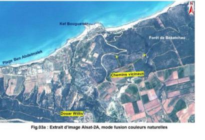 Extract from ALSAT-2A image of Benabdelmalek Ramdane in Mostaganem Province, Algeria (Image: ASAL)