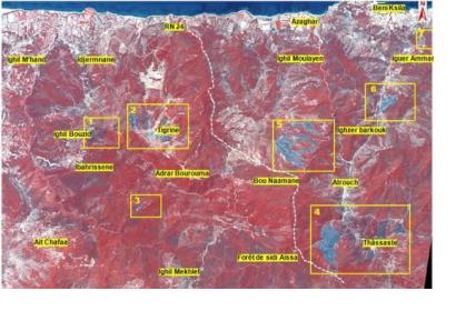 Image of the areas affected by forest fires captured by Alsat-2A (Image: ASAL