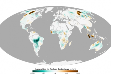Difference from average emissions for 2014 in grams of carbon per square meter per year (Image: NASA)