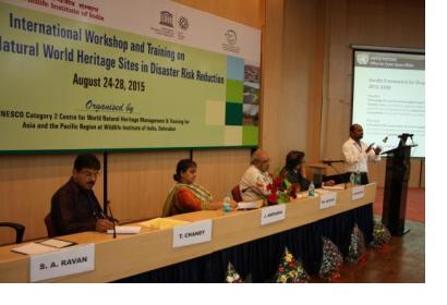 Shirish Ravan of UN-SPIDER speaking on "Role of earth observation in maitaining health of natural heritage sites"