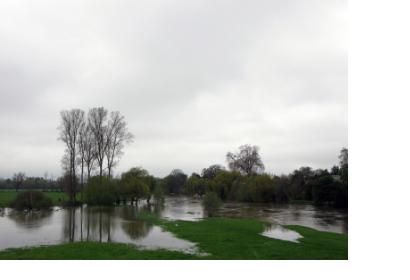 River Thames by Wallingford, Oxfordshire flooded