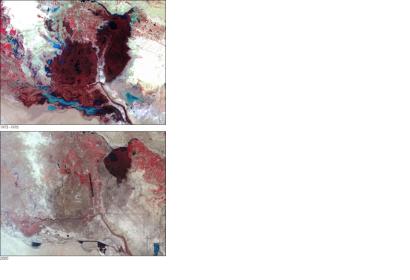 Landsat satellite shows the vanishing wetlands in the Arab Region