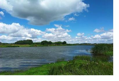 Lake in Kachalinskaya, Volgogradskaya oblast Russia.