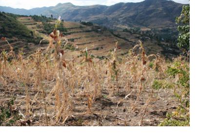 Agricultural drought in Ethiopia. Image: WFP/Stephanie Savariaud