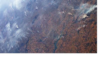 Fires in the Amazon as seen from Space. Image: ESA/NASA–L. Parmitano.