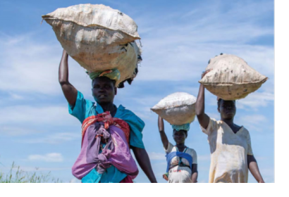 Screenshot of "The state of food security and nutrition in the world" by Food and Agriculture Organization of the United Nations (FAO) 