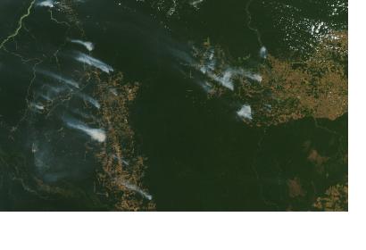 Forest fires in the Amazon. Image: NASA Earth Observatory.