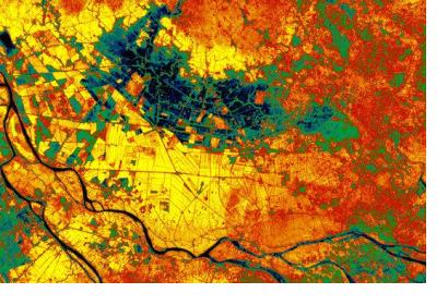 Vegitation Map of Mekong Delta