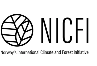 Official Logo of NICFI. Image: NICFI.