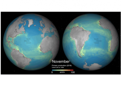 Global monthly primary productivity. Image: ESA