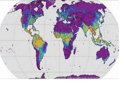 Solar-induced Fluorescence Map. Image: NASA