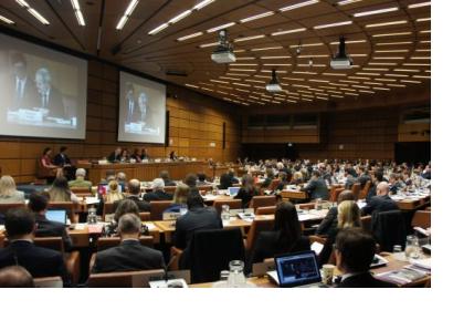 55th session of the Scientific and Technical Subcommittee. Photo: UNOOSA.