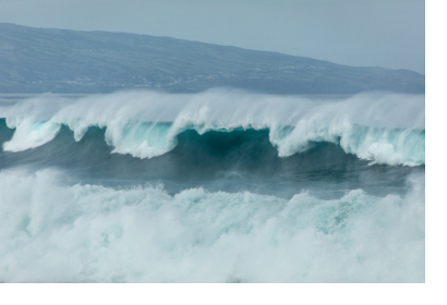 Credit: César Couto from Unsplash