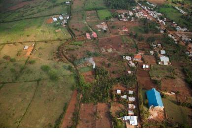 Rice paddies in Rwanda. Image: A'Melody Lee / World Bank.