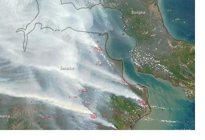 Recently, fire hot spots decreased in consequence of heavy rainfalls (Image: NASA).