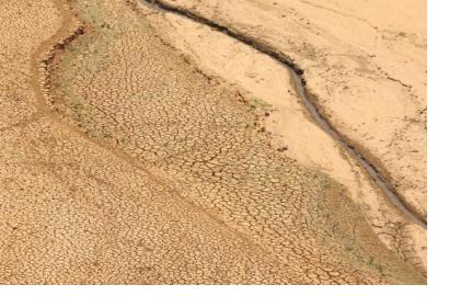 Drought in Sri Lanka in 2012.