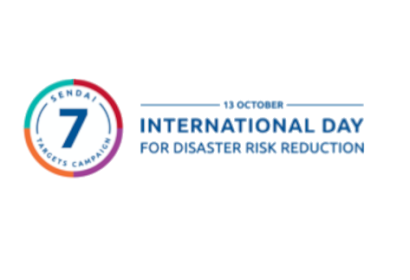 IDDRR Logo