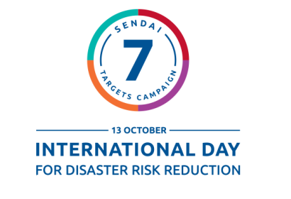 IDDRR Logo