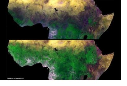 monitoring vegetation dynamics from space