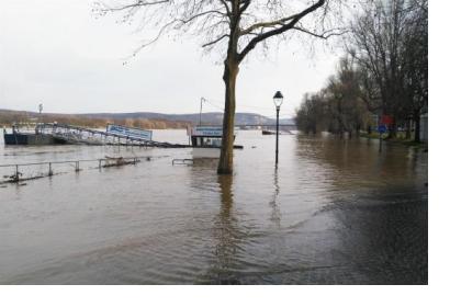 The rising waters of the Rhine river in Bonn. Image: UN-SPIDER.